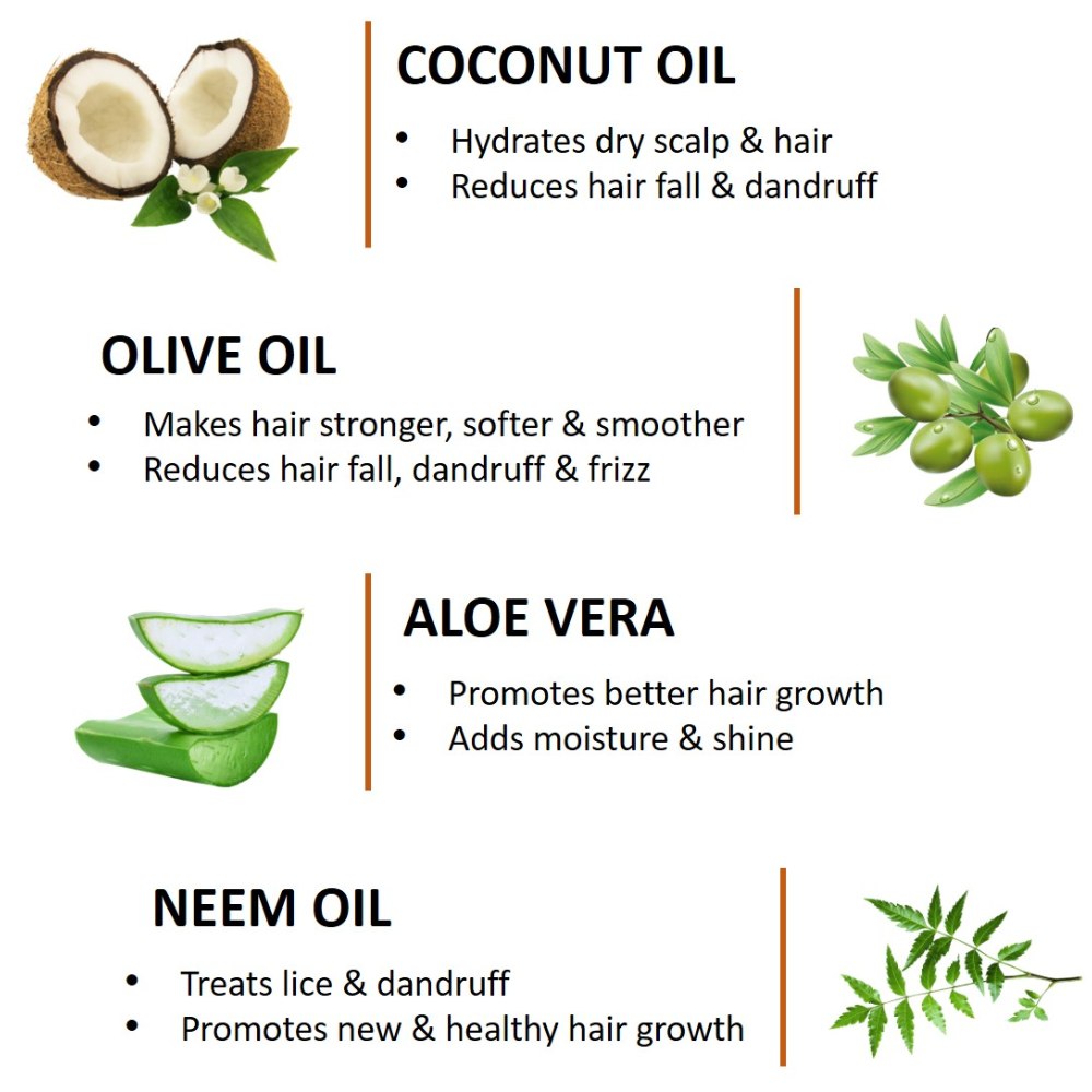 Shampoo + Conditioner - Minty Sea